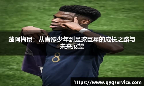 yy易游